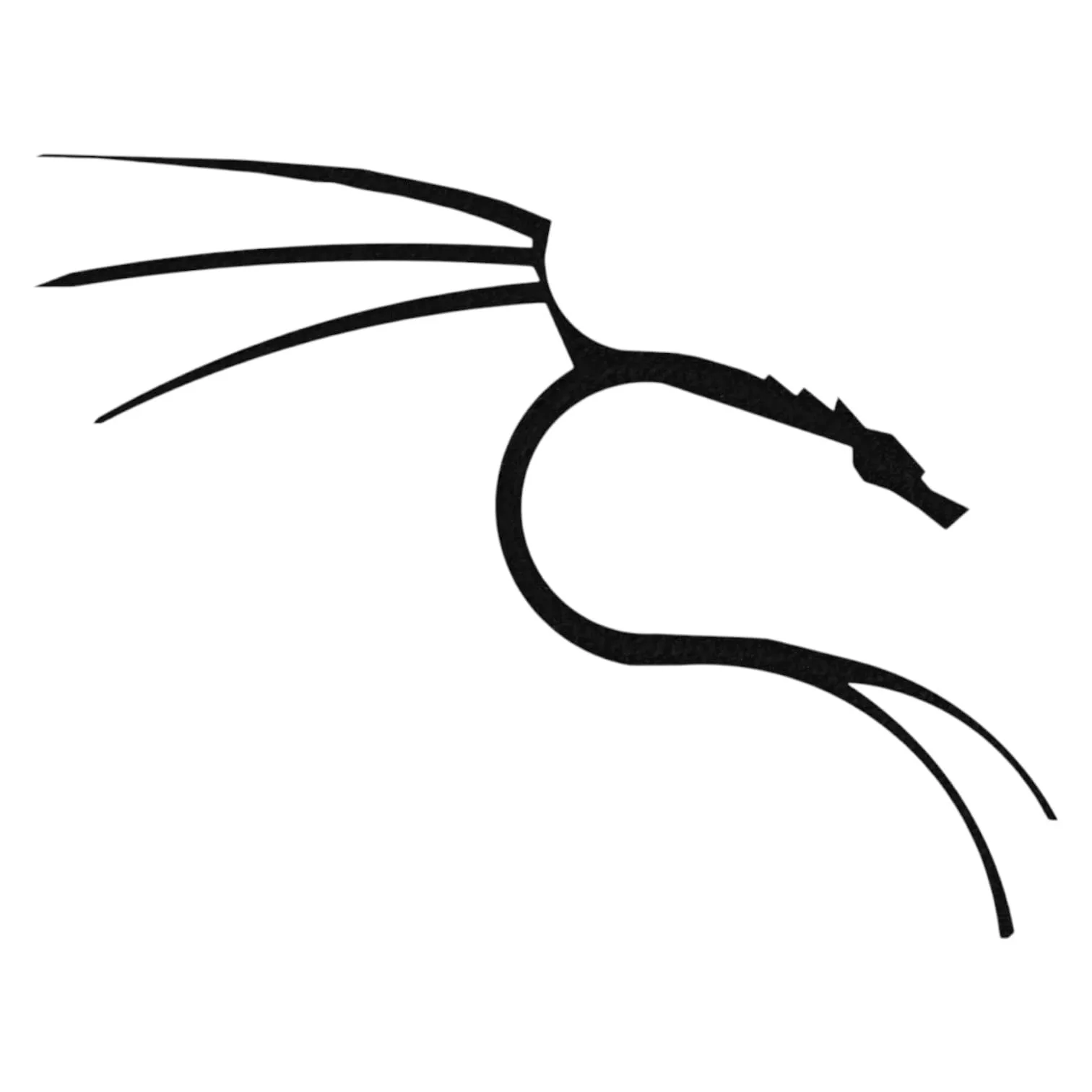 Kali Linux Dragon Logo Wall Art – Hacker-Inspired Cyber Decor for Office, Studio, or Tech Setup front view