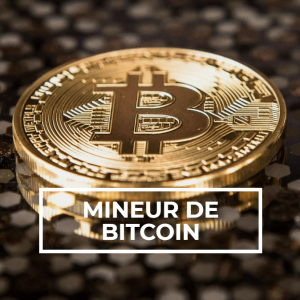 2021-08-13 16_50_53-MINEUR DE BITCOIN - Salto Conseil